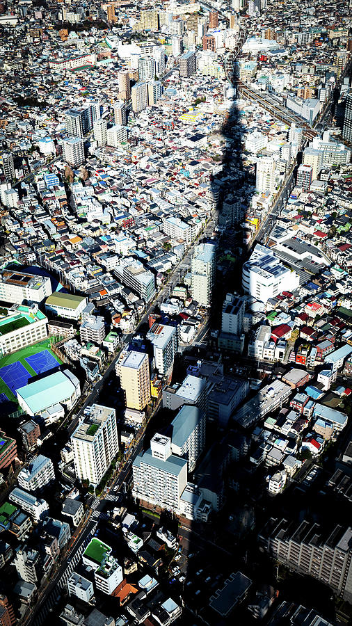 Tokyo Shadow by William Chizek Tokyo Shadow by William Chizek
