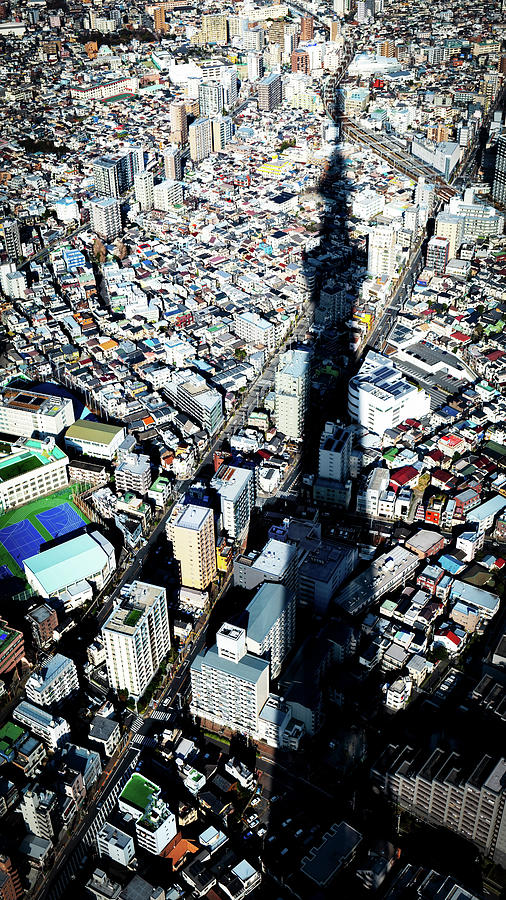 Tokyo Shadow Photograph by Bill Chizek