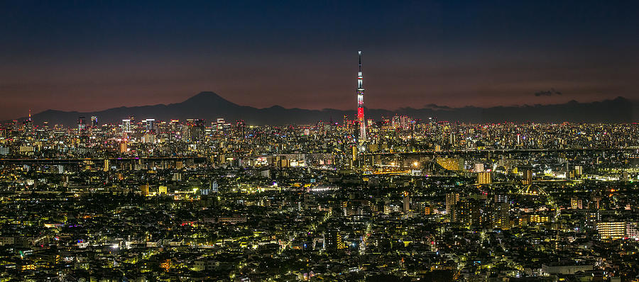 Tokyo skyline at night panorama w Photograph by Sandro Bisaro