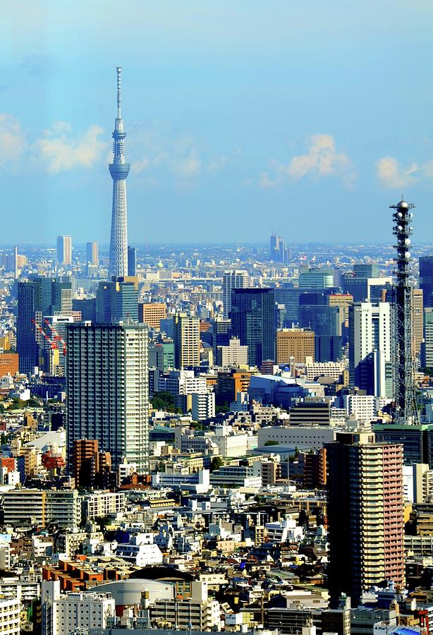 Tokyo Skyline Photograph by Corinne Rhode