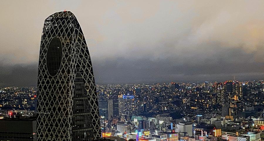 Tokyo Skyline in the Evening  Photograph by Marla McPherson