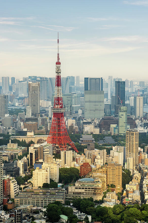 Tokyo Tower Amidst Urban Skyline Photograph by Francesco Riccardo Iacomino Tokyo Tower Amidst Urban Skyline Photograph by Francesco Riccardo Iacomino