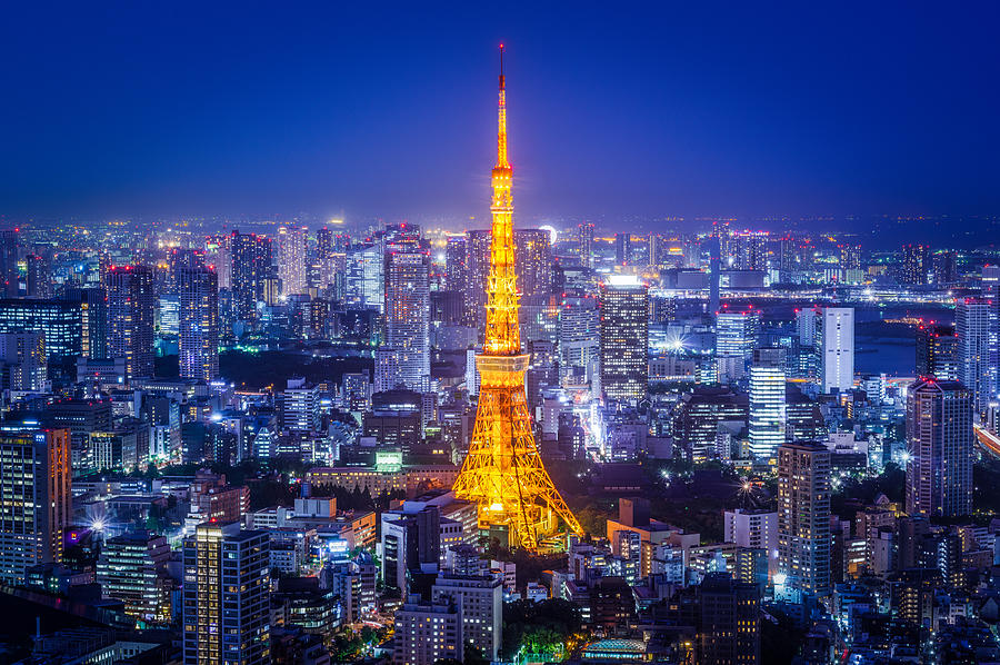 Tokyo tower in blue twilight Photograph by Shingo Tamura