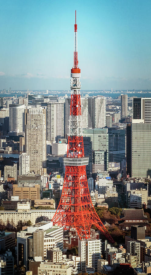 Tokyo Tower Photograph by Joan Carroll