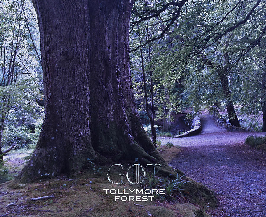 tollymore forest Ireland GOT Photograph by Joelle Philibert