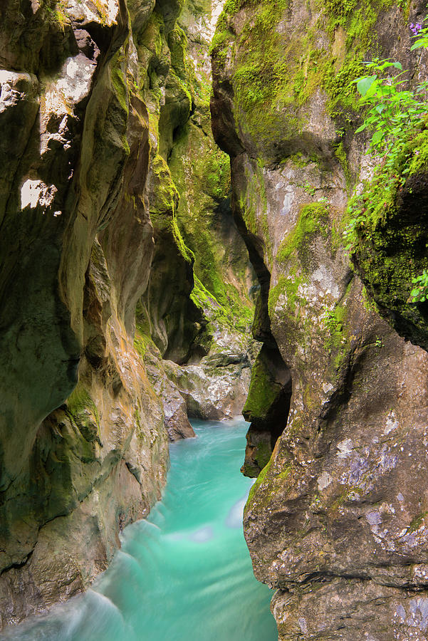 Tolmin Gorges, Slovenia Photograph by Ivan Batinic - Fine Art America