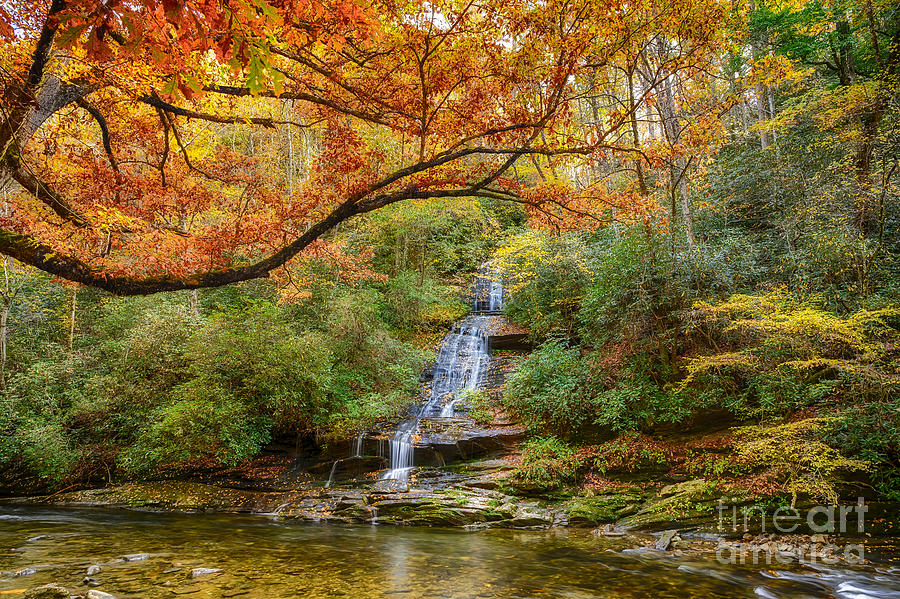 Tom Branch Falls in the Smoky Mountains National Park by Jimmy Pappas