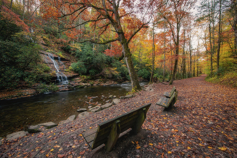 Tom Branch Falls in Autumn Photograph by Robert J Wagner