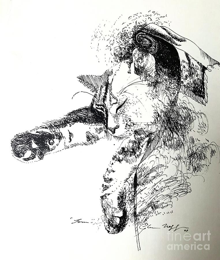 Tom Cat Drawing by Glen Neff