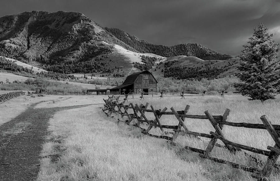 Tom Miner Basin Homestead, Infrared  Photograph by Marcy Wielfaert