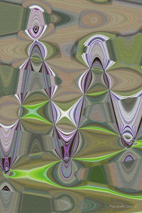 Tom Stanley Janca Abstract# 0093ps1abc Digital Art by Tom Janca