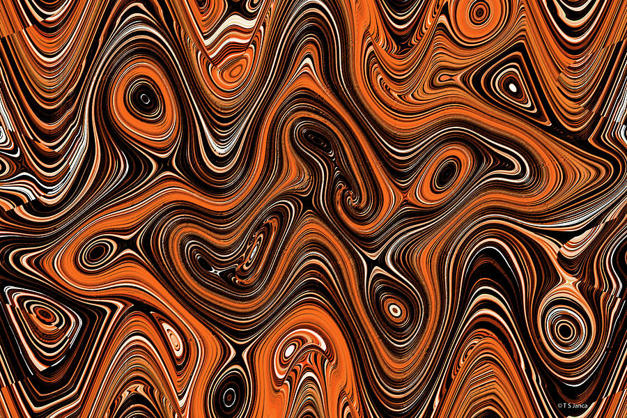 Tom Stanley Janca Abstract #8074-1abbcdefgh Digital Art by Tom Janca