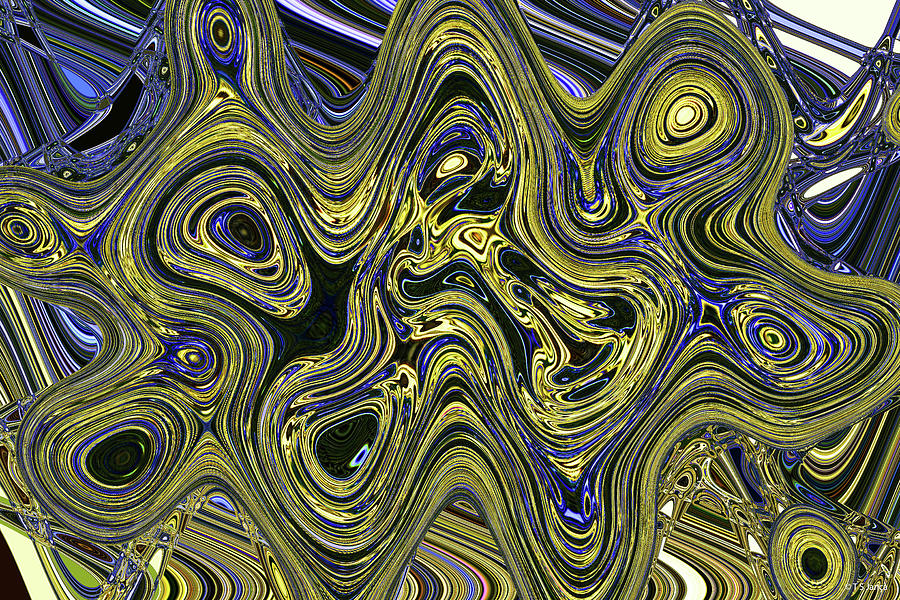 Tom Stanley Janca Queen Palm Frond Abstract #0025p2a Digital Art by Tom Janca