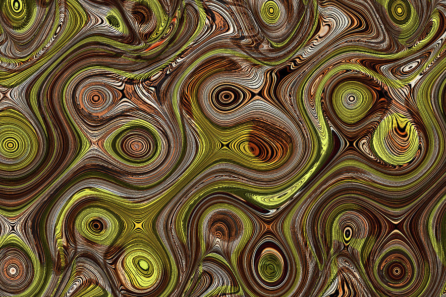 Tom Stanley Janca Whirls  Abstract #7928 Digital Art by Tom Janca
