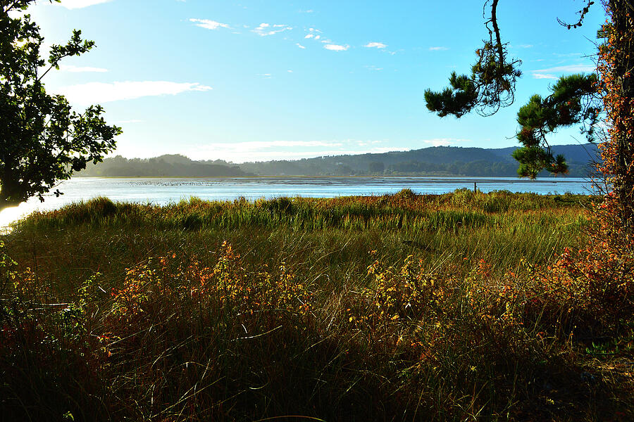 Tomales Bay Of Northern California Photograph by Glenn McCarthy Art and Photography