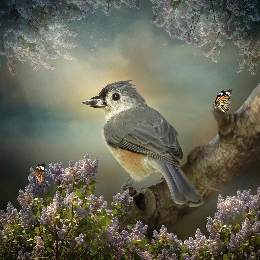 Tomas the Titmouse Digital Art by Maggy Pease