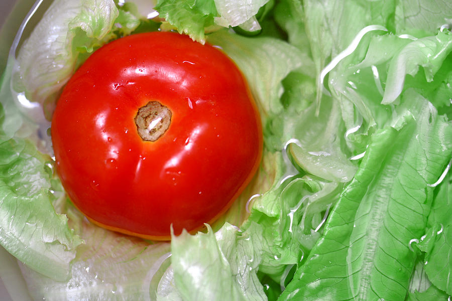 Tomato And Lettuce Photograph