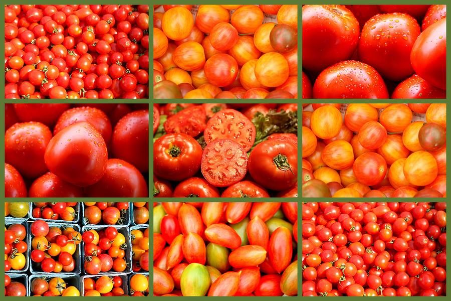 Tomato Collage Photograph by Imagery-at- Work