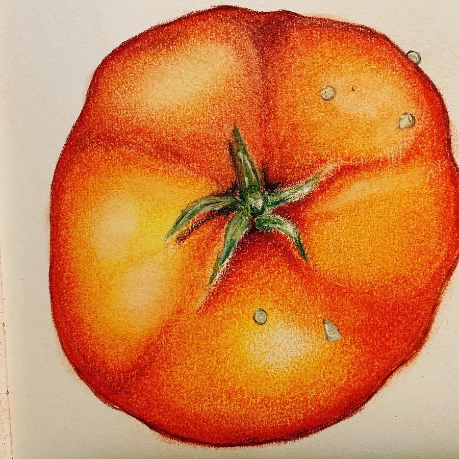 Tomato  Pastel by Lynn Shaffer