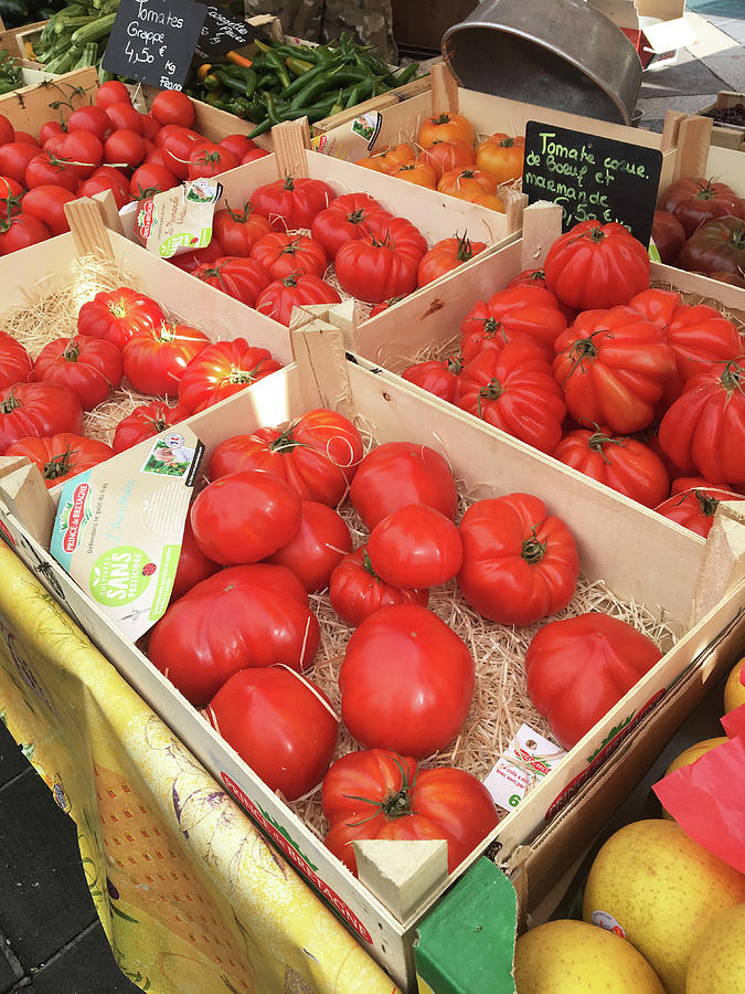 Tomato Market Photograph by Nancy Merkle