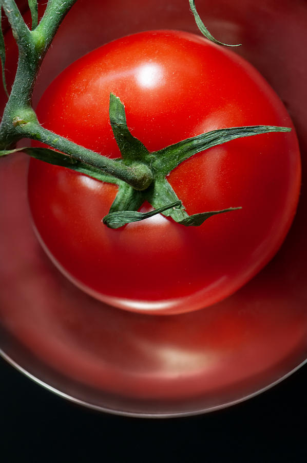 Tomato Red Photograph by Maggie Terlecki