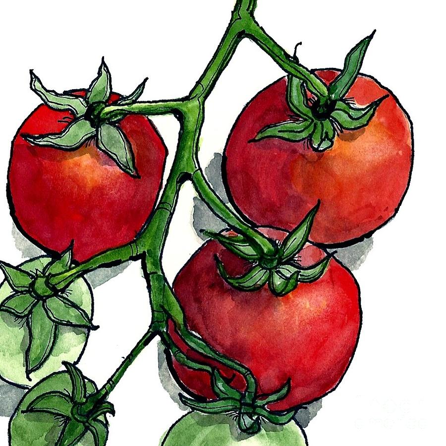 Tomato Vine Painting by Terry Banderas