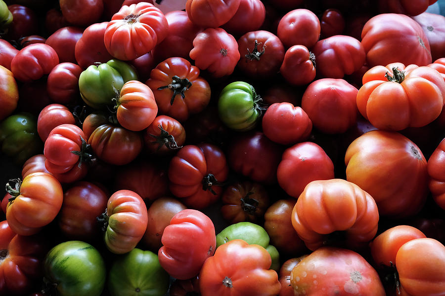 Tomatoes Photograph