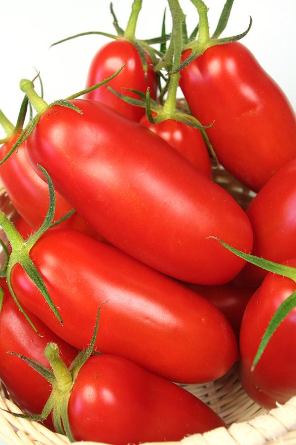 Tomatoes Photograph by Dirkr