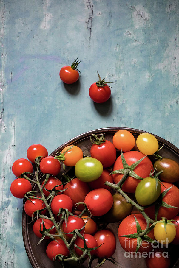 Tomato Photograph - Tomatoes on a pewter plate by Jane Rix