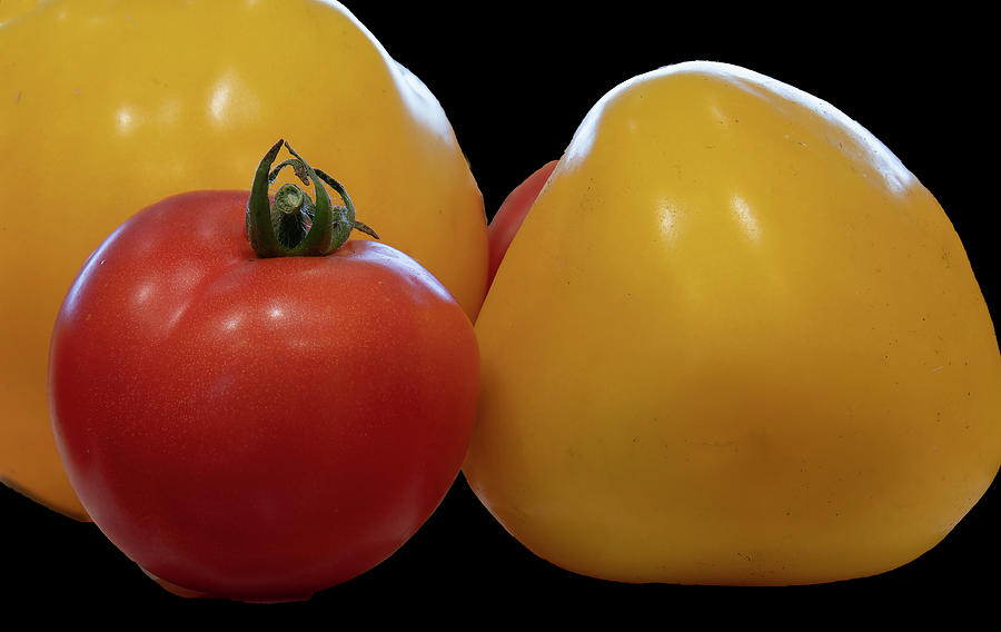 Tomato Photograph - Tomatoes by Phil And Karen Rispin