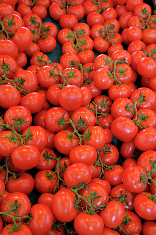Tomatos, Thursday Market, Boulevard Saint-Germain, Paris, France Photograph by Kevin Oke