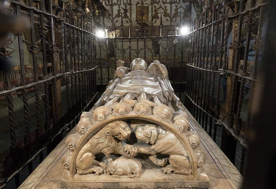 Tomb of Don Diego de Anaya y Maldonado. Salamanca Photograph by RicardMN Photography