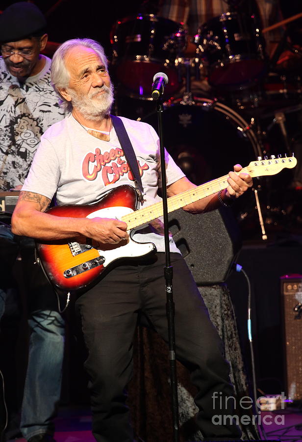 Tommy Chong - Cheech and Chong Photograph by Concert Photos - Pixels