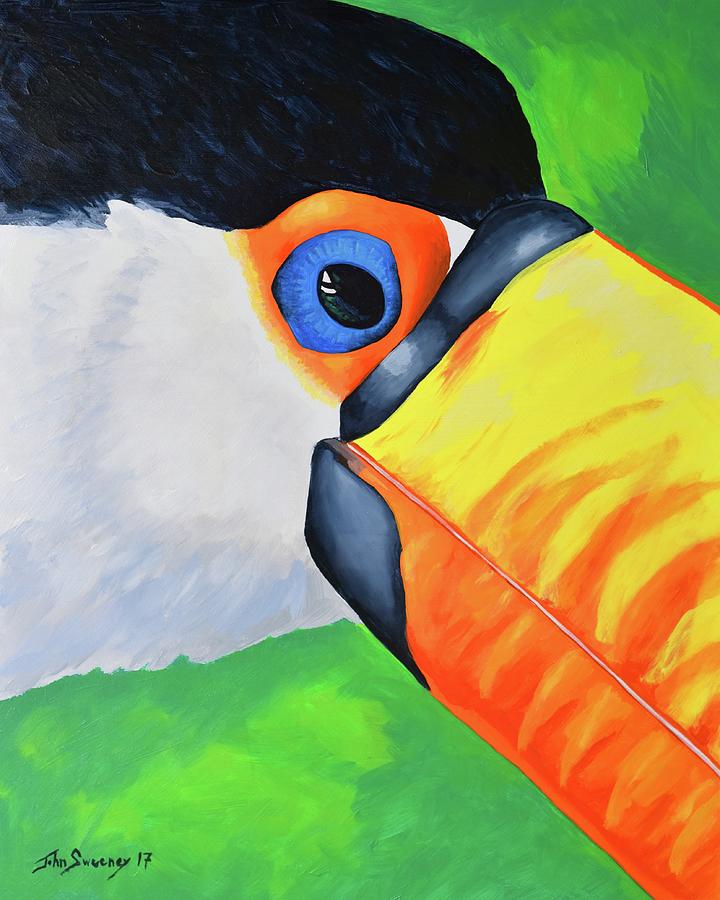 Tommy Toucan Painting by John Sweeney