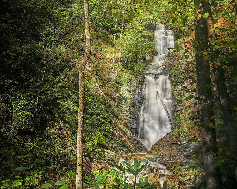 Toms Creek Falls North Carolina 5 Photograph by Judy Vincent