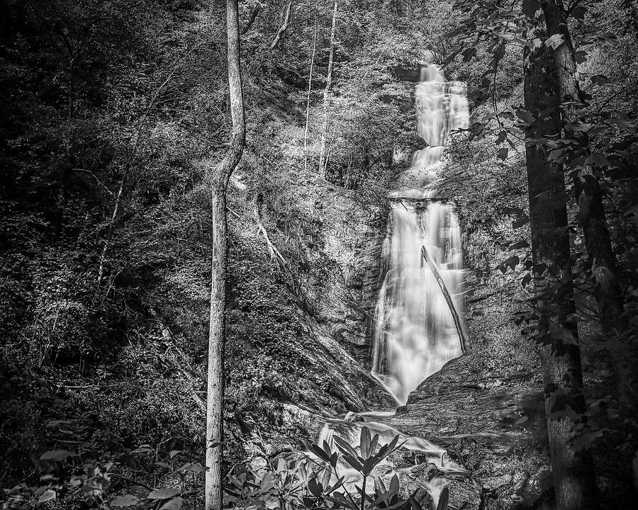 Waterfall Photograph - Toms Creek Falls North Carolina Black and White by Judy Vincent