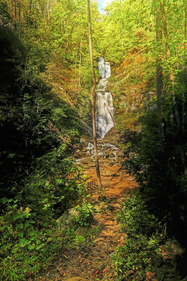 Waterfall Photograph - Toms Creek Falls North Carolina Vertical by Judy Vincent