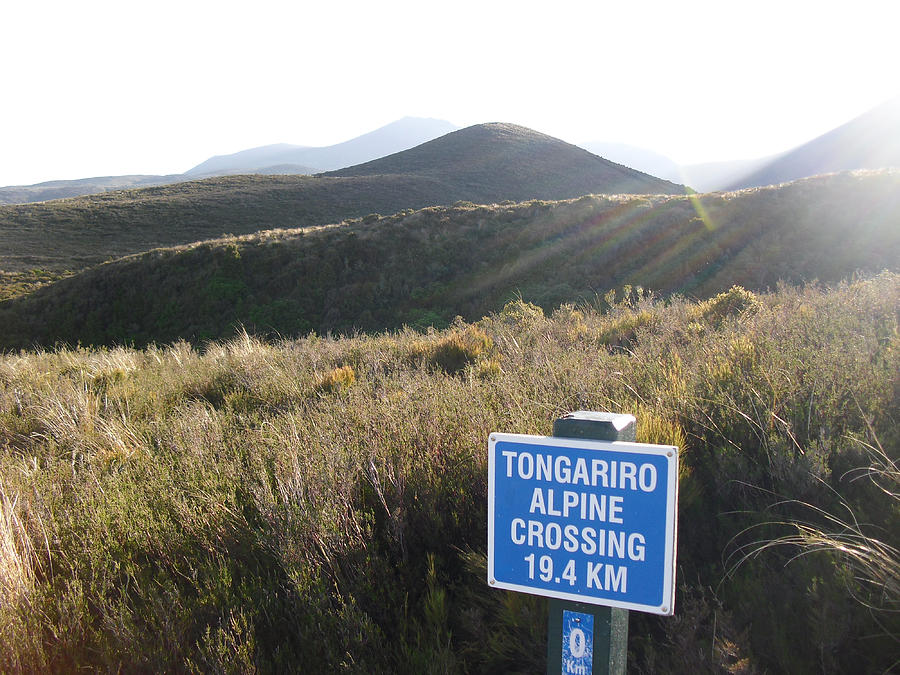 Tongariro Photograph by Adrian022