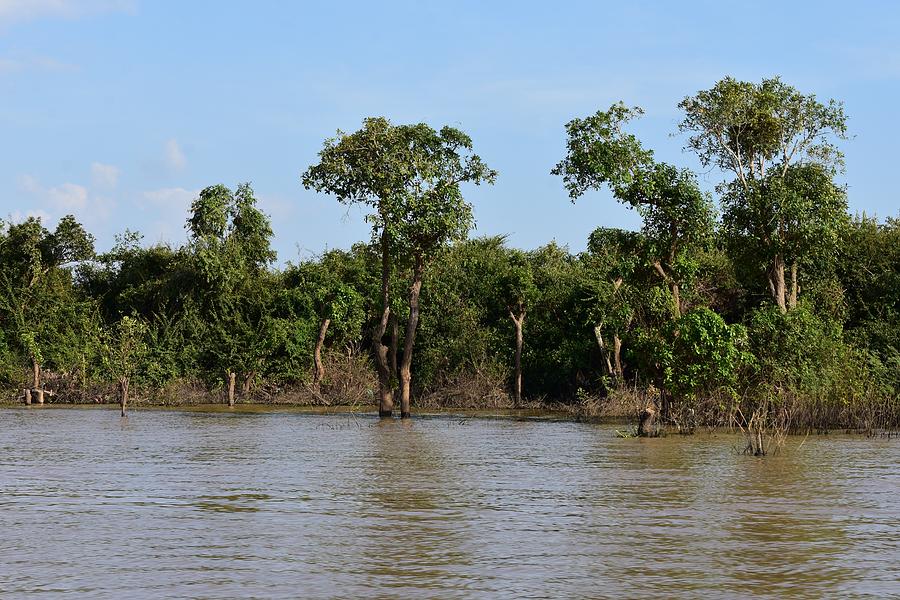 Tonle Sap Flooded Forest Photograph by Mekong Photography - Pixels