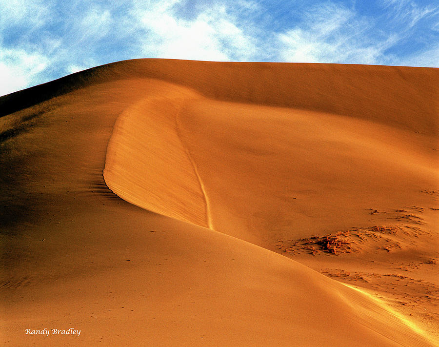 Tonopah Sand Dune  Photograph by Randy Bradley