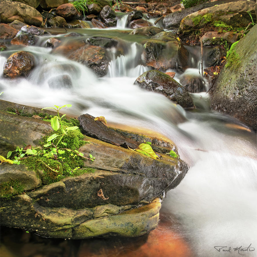Tonto Creek Photograph by Paul Martin
