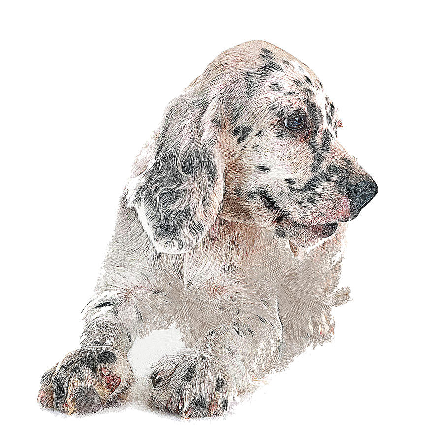 Too Cute Puppy English Setter Dog Painting by Custom Pet Portrait Art Studio
