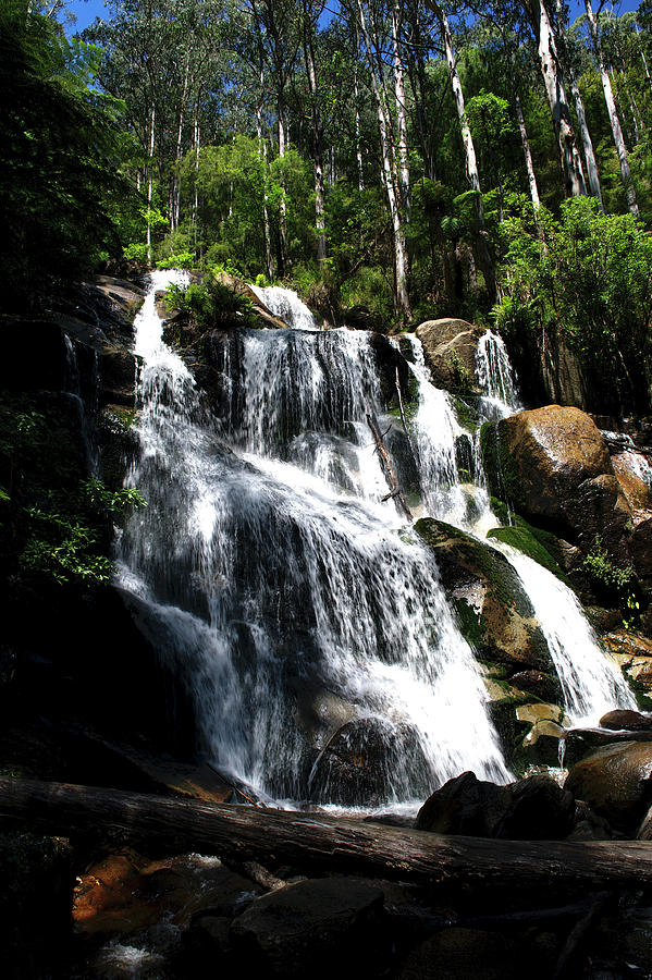 Toorongo Falls Photograph by Graham Palmer - Fine Art America