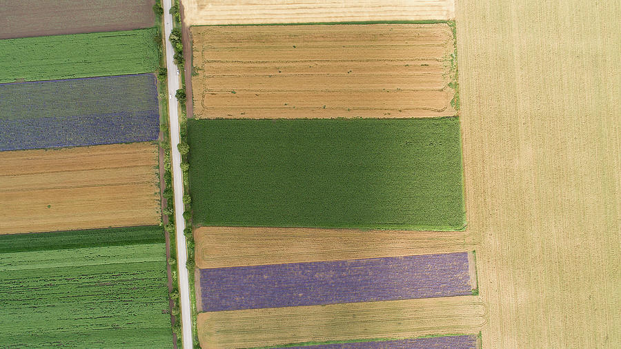 Top Down View Of Fields With Various Types Of Agriculture Photograph