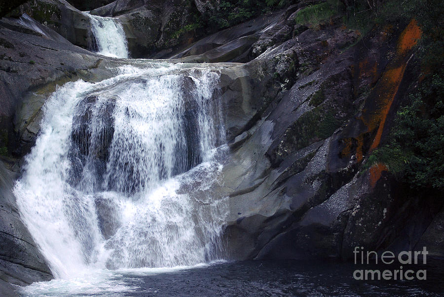 Top End Flow - Josephine Falls Photograph by Kerryn Madsen- Pietsch