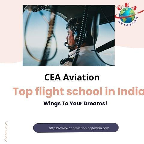 Top flight school in India Digital Art by Ceaaviation - Fine Art America