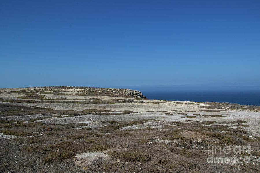 Top Of Santa Cruz Island Photograph by Suzanne Luft - Fine Art America