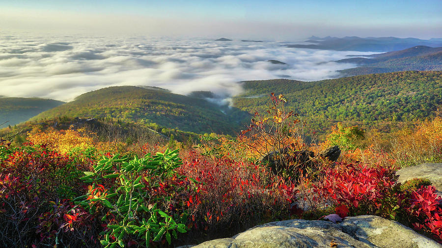 Top of the Morning at Rough Ridge on the Blue Ridge Parkway Photograph by Daniel Brinneman
