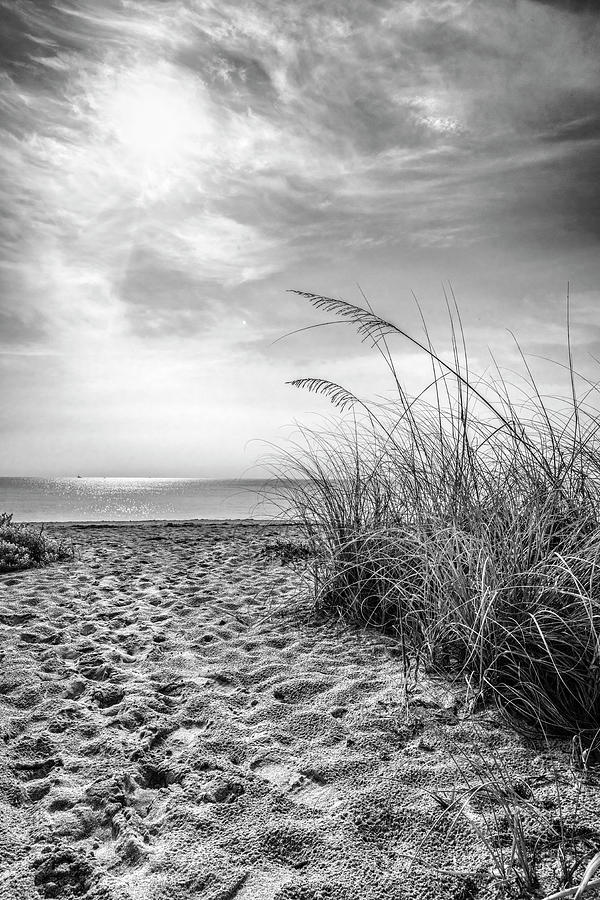 Top of the Sand Dunes in Black and White Photograph by Debra and Dave ...