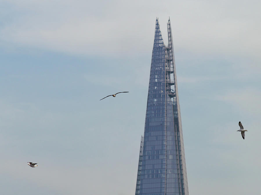 Top Of The Shard, London On A Hazy Summers Day With Seagulls Photograph